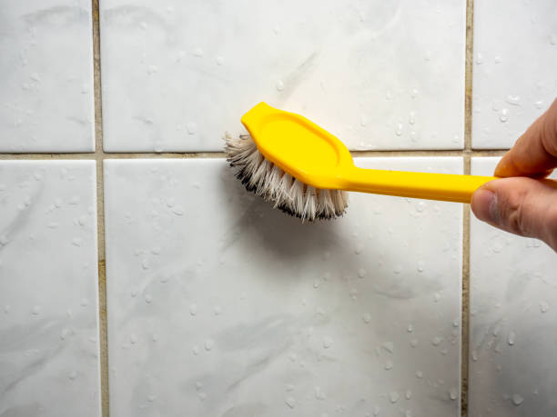 Best Emergency Mold Removal  in Bonsall, CA