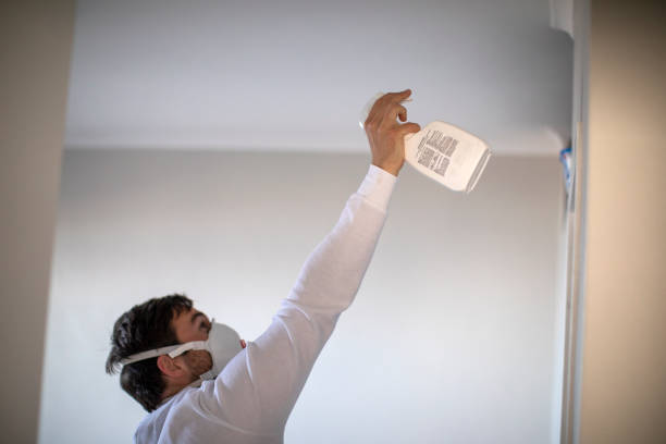 Best Local Mold Removal Service  in Bonsall, CA