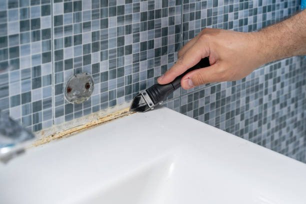 Best Mold Inspection  in Bonsall, CA