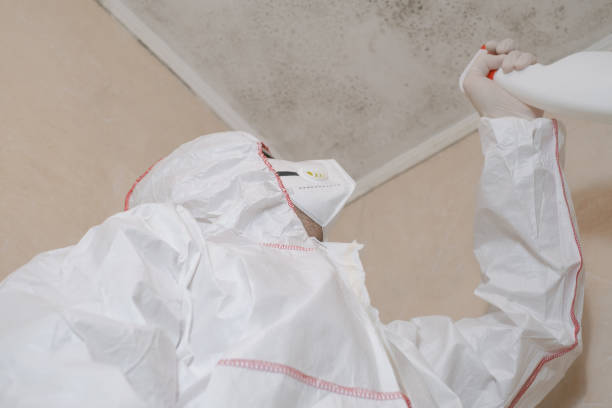 Best Toxic Mold Removal  in Bonsall, CA